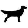 Countryside Animal Clinic favicon